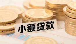 东莞7身份证贷款平台-东莞7私人借贷不查征信-东莞7空放借钱